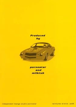 Page 28 of TWIN TURBO