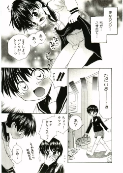 Page 11 of Shotagari Vol. 2