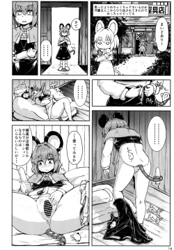 Page 13 of Nazrin ga Goshujin no Tame ni Himitsu no Tokkun o Suru Hanashi