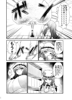 Page 2 of Patchouli-sama ga Futotte Sakunyuu Sareru Hon