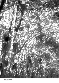 Page 4 of Hari no Mushiro