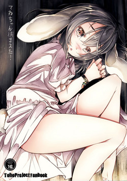 Download Tewi-chan Tsukamaeta!