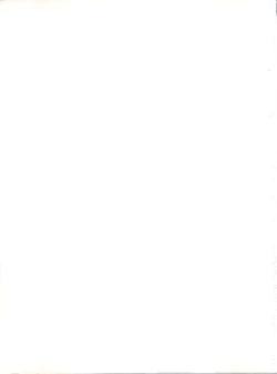 Page 239 of NanDemo-R Yume Nikki