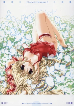 Page 45 of Character Museum Sapphire