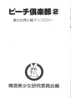 Page 3 of Bishoujo Doujin Peach Club - Pretty Gal's Fanzine Peach Club 2