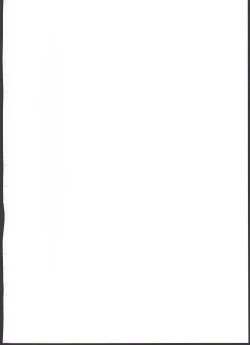 Page 2 of Pokemon Trainer Alola no Sugata