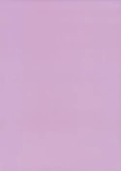 Page 2 of Costte Asobo.