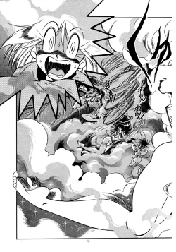 Page 13 of Special 6