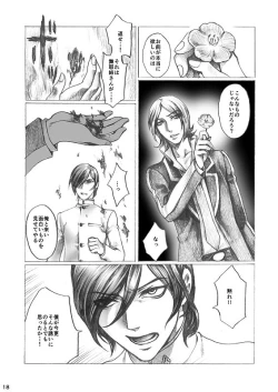 Page 18 of SHADOW AND SHADOW