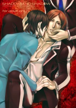 Page 1 of SHADOW AND SHADOW