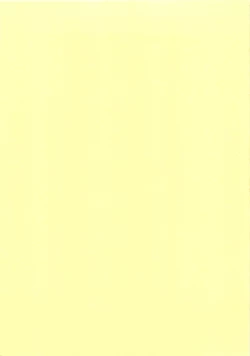 Page 19 of Intercourse