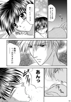 Page 101 of Bishounen Kinbaku Nisshi Soushuuhen 2