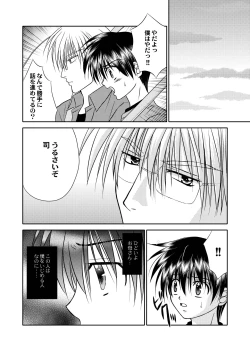 Page 12 of Bishounen Kinbaku Nisshi 12