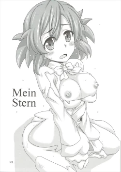 Page 2 of Mein Stern