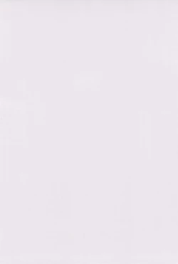 Page 4 of Hinnyuu Musume 06