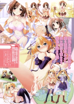 Page 8 of COMIC Megastore 2005-11