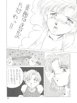 Page 12 of Pussy Cat Vol. 25 Sailor Moon 2