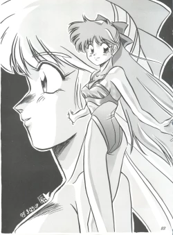 Page 23 of Pussy Cat Vol. 25 Sailor Moon 2