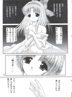 Page 24 of Shimensoka 5