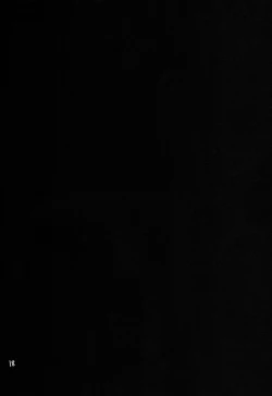 Page 19 of Gekidan Kotori Duel 3