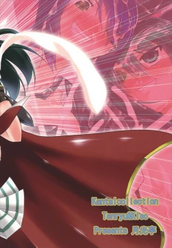 Page 24 of Shori Tech Gassen