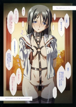 Page 16 of SISTERS2012-2015