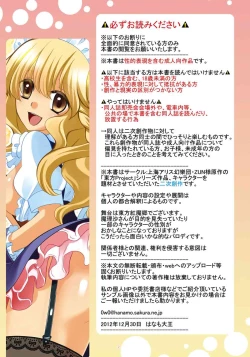 Page 2 of Maid Hajimemarisa!