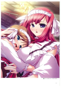 Page 11 of Hikage Eiji Illust Works