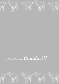 Page 33 of Axis Powers CANIDAE!!!