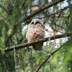 Page 96 of Noraneko Shoujo to no Kurashikata Ch. 4-11