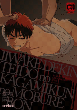 Download Iiwakedekinai Teido no Kagamikun no Mobure Bon