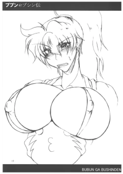 Page 17 of Bubun ga Bushinden 4