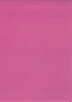 Page 10 of The Book of Alice