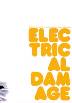 Page 26 of ELECTRICAL DAMAGE