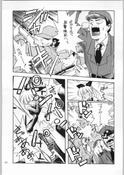 Page 21 of Akai Cycle II