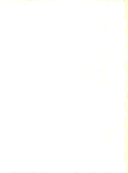 Page 196 of MAGIC GALS Select Memory