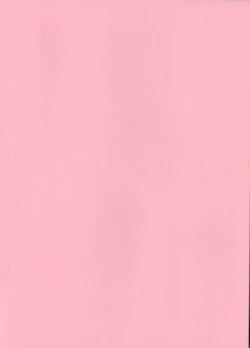 Page 2 of Aru Hi no Sawamura Eijun no Sainan