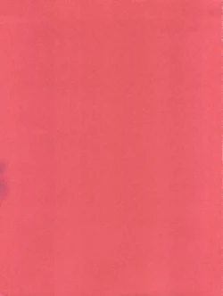 Page 41 of Honey Flash Seven