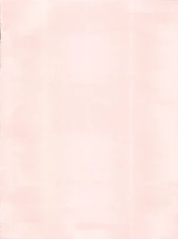 Page 4 of PINK MACADAMIAN Vol. 2