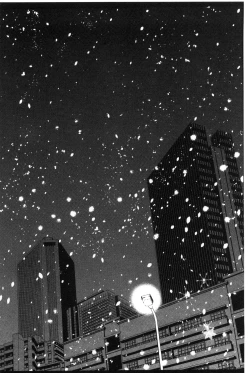 Page 249 of Kanojo wa Manatsu no Santa Claus