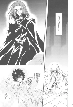 Page 14 of Toaru Majutsu no Romanesque