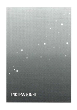 Page 13 of ENDLESS NIGHT