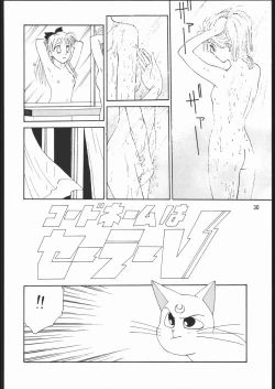Page 29 of うさぎがピョン!!