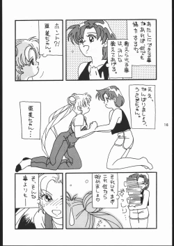 Page 15 of うさぎがぴょんR