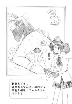 Page 149 of Shoujo Yousai Rengashuu Touhou Inreika