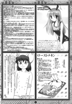 Page 259 of Shoujo Yousai Rengashuu Touhou Inreika