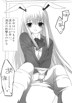 Page 45 of Shoujo Yousai Rengashuu Touhou Inreika