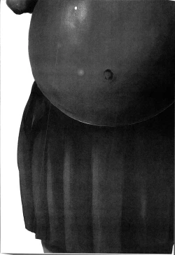 Page 201 of Ninpu Seikatsu - Pregnant Sex Life