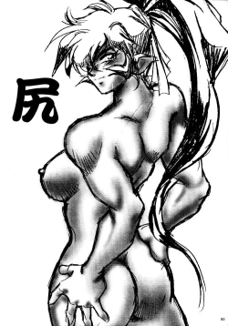 Page 51 of 裏戦国銀河群雄 壹