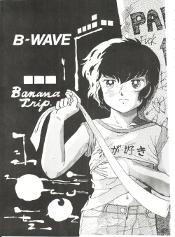 Page 3 of B-Wave II